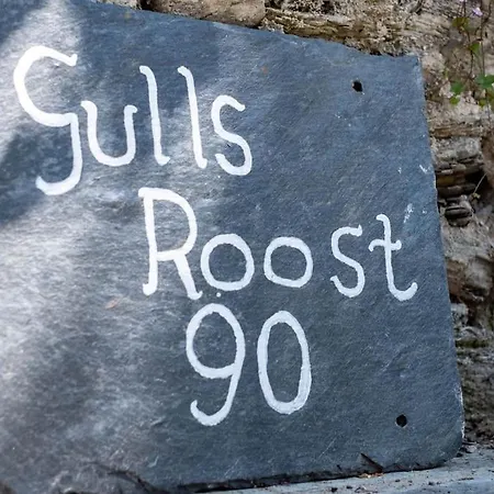 Gulls Roost, Port Isaac Bay Holidays Exterior photo